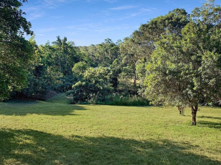 12 Songbird Place, Mooloolah Valley
