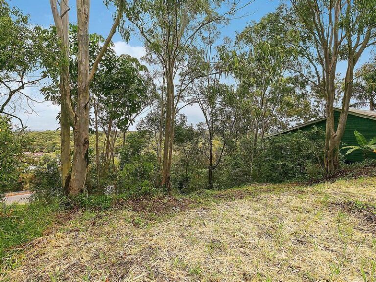 Sold - 83 Tantula Road West - New Property in ALEXANDRA HEADLAND - Real Estate by McGrath Mooloolaba