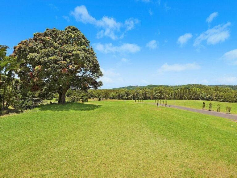 Sold - 13 Buderim View Place - New Property in DIDDILLIBAH - Real Estate by Todd McKee