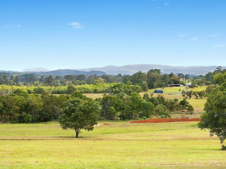Sold - 13 Buderim View Place - New Property in DIDDILLIBAH - Real Estate by Todd McKee