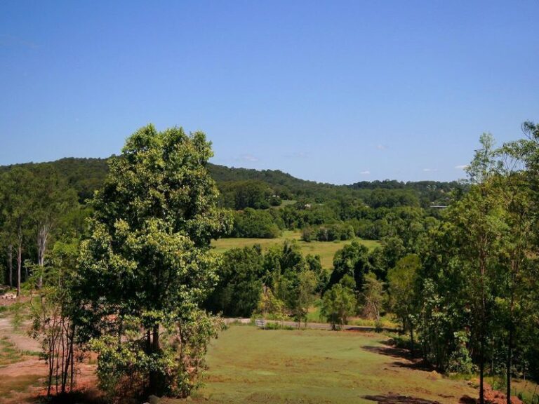 Sold - 175 Paynters Creek Road - New Property in Rosemount - Real Estate by Todd McKee