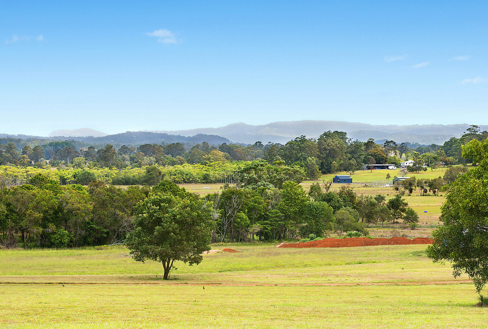 Sold - 25/79 Eudlo Flats Road - New Property in Diddillibah - Real Estate by Todd McKee