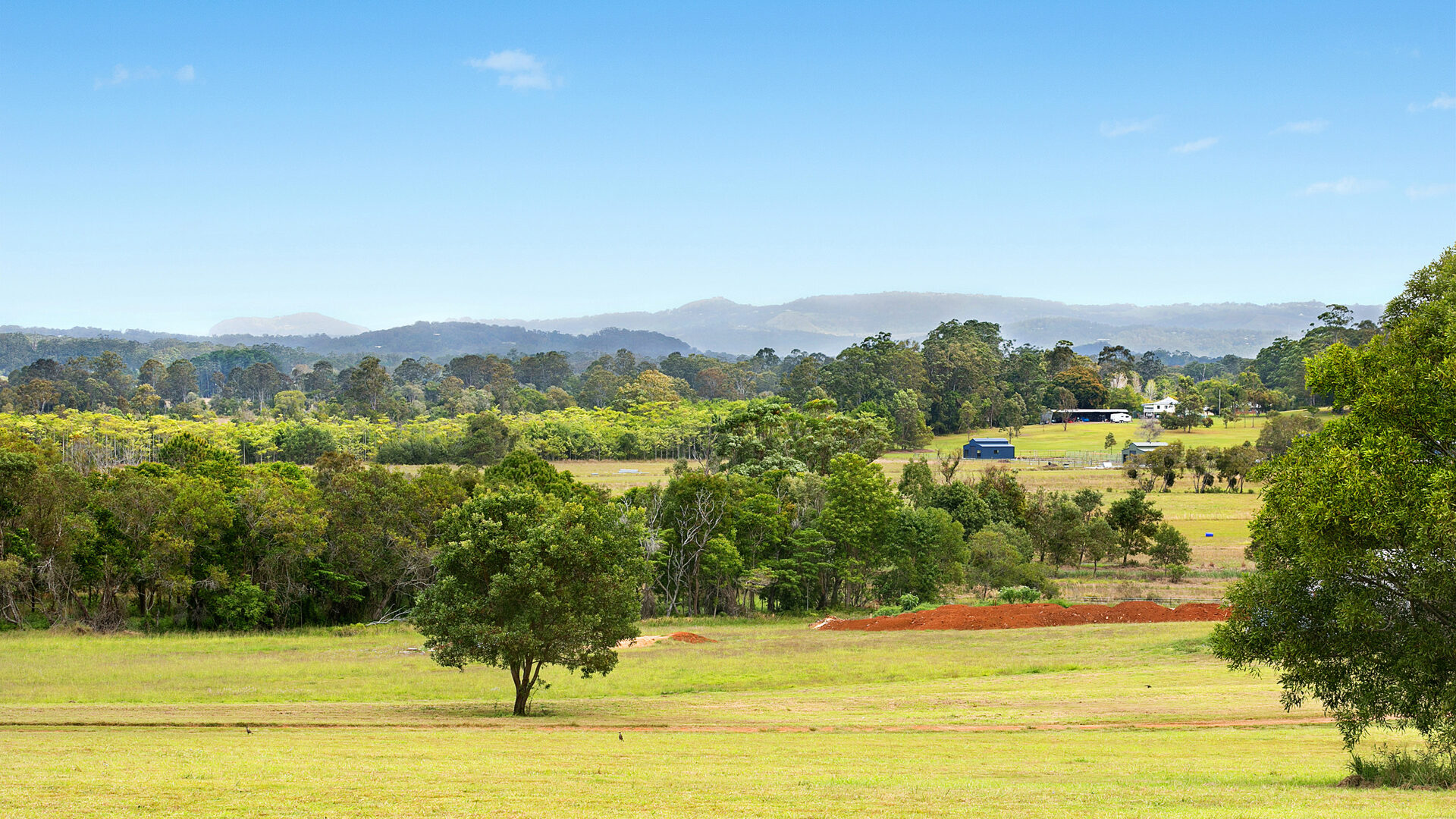 Sold - 31/13 Eudlo Flats Road - New Property in Diddillibah - Real Estate by Todd McKee