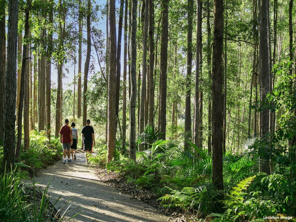 Sold - 8 Meads Road - New Property in Buderim - Real Estate by Todd McKee