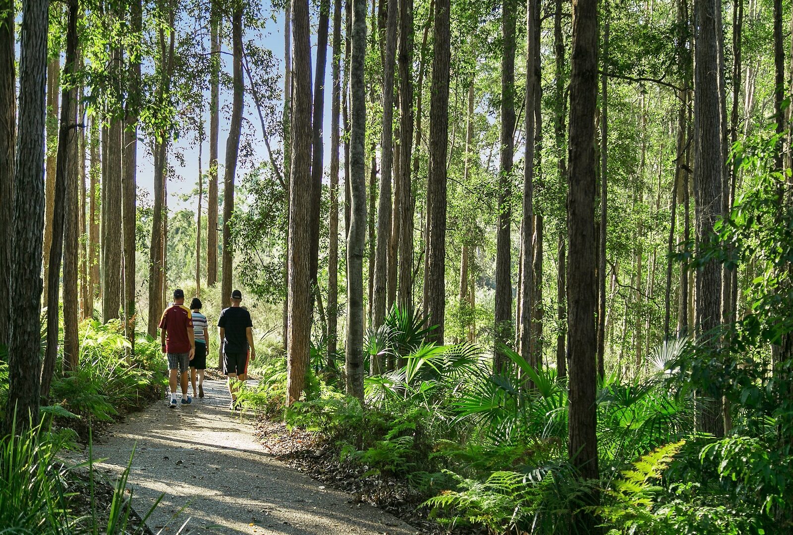 Sold - 8 Meads Road - New Property in Buderim - Real Estate by Todd McKee