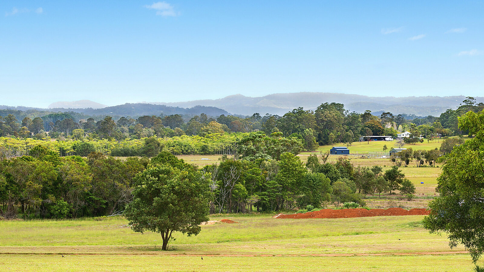 Sold - Lot 5/79 Eudlo Flats Road - New Property in Diddillibah - Real Estate by Todd McKee