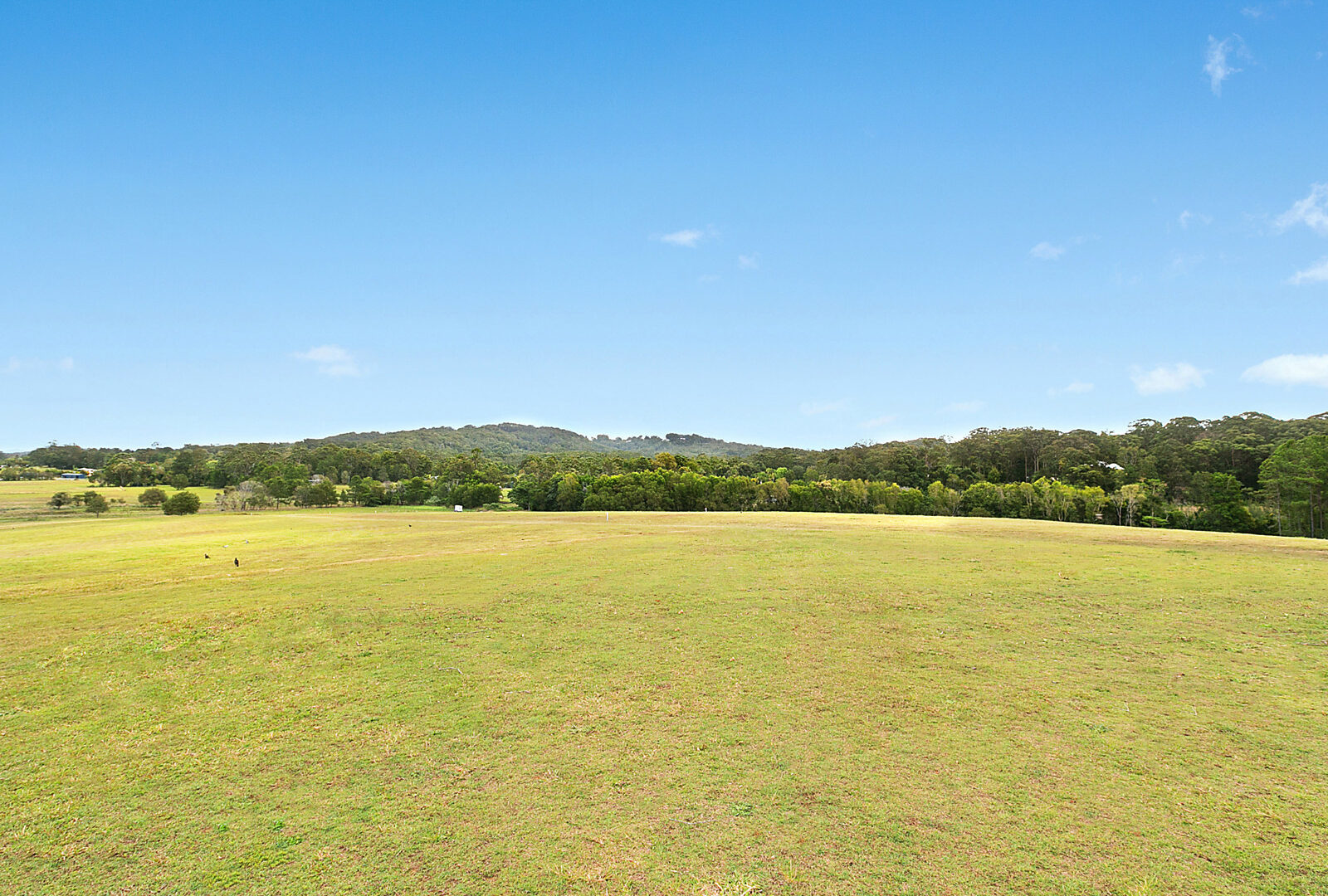 Sold - Lot 5/79 Eudlo Flats Road - New Property in Diddillibah - Real Estate by Todd McKee