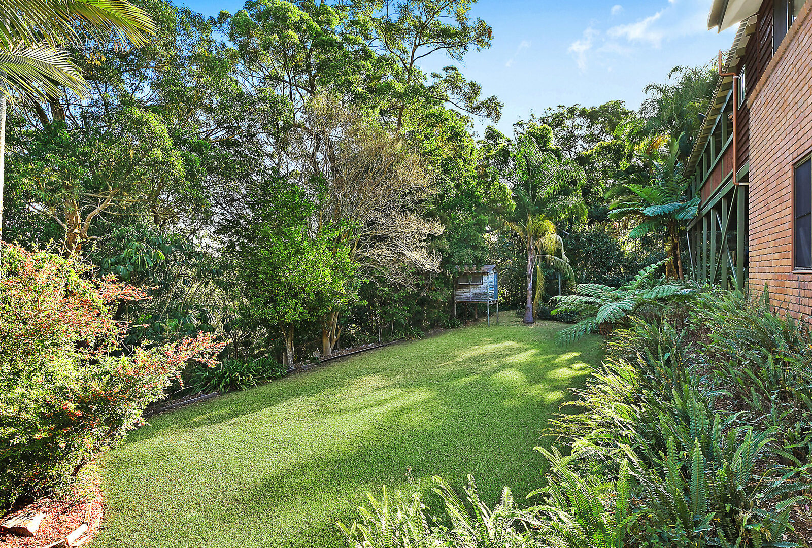 Sold - 21 Whitecross Road - New Property in Bli Bli - Real Estate by 