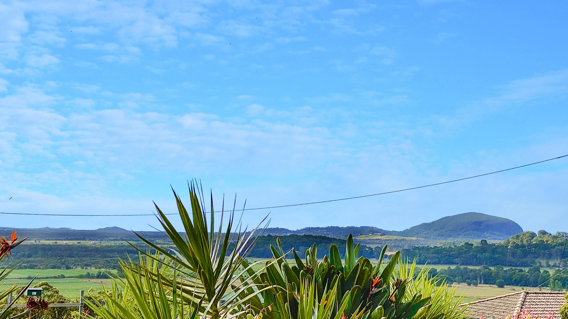 Sold - 48 Willis Road - New Property in Bli Bli - Real Estate by Trudi Fernandez