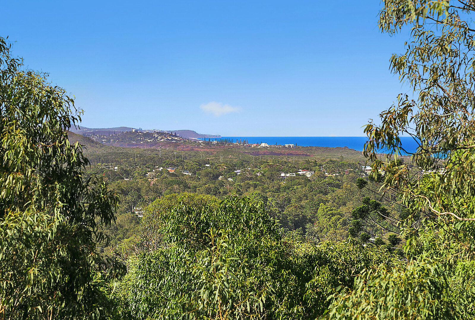 Sold - 8 Hilltop Crescent - New Property in Coolum Beach - Real Estate by McGrath Mooloolaba