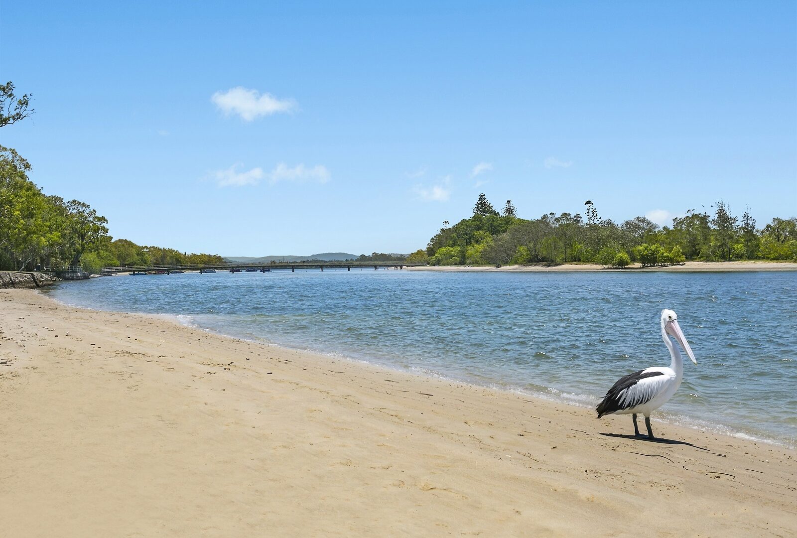 Sold - 202/34 Picnic Point Esplanade - New Property in Maroochydore - Real Estate by Carlie Penn