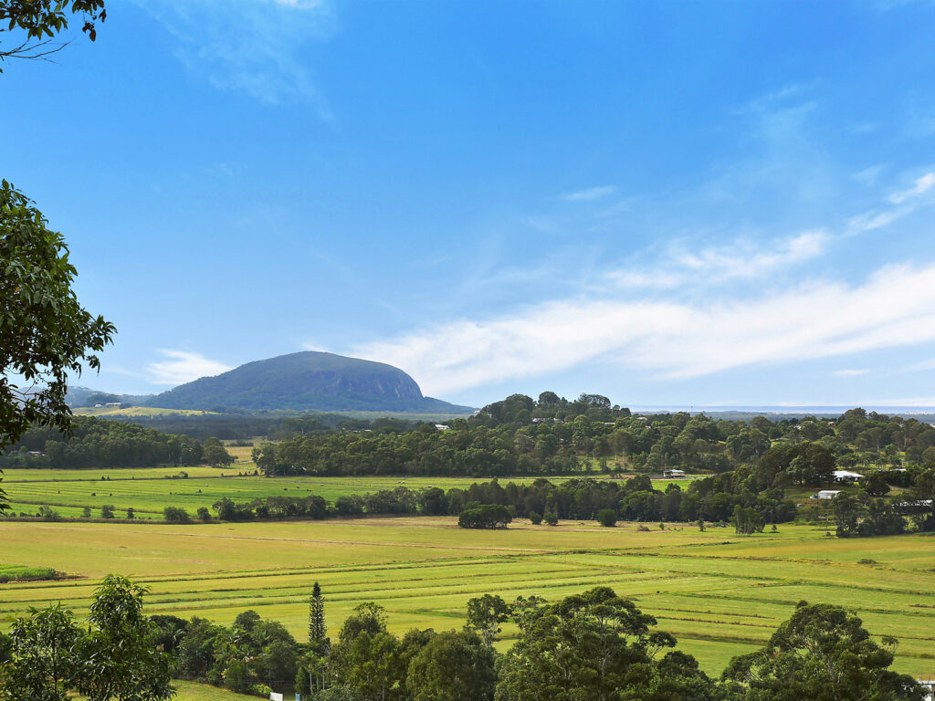 Sold - 33 Willis Road - New Property in Bli Bli - Real Estate by Trudi Fernandez