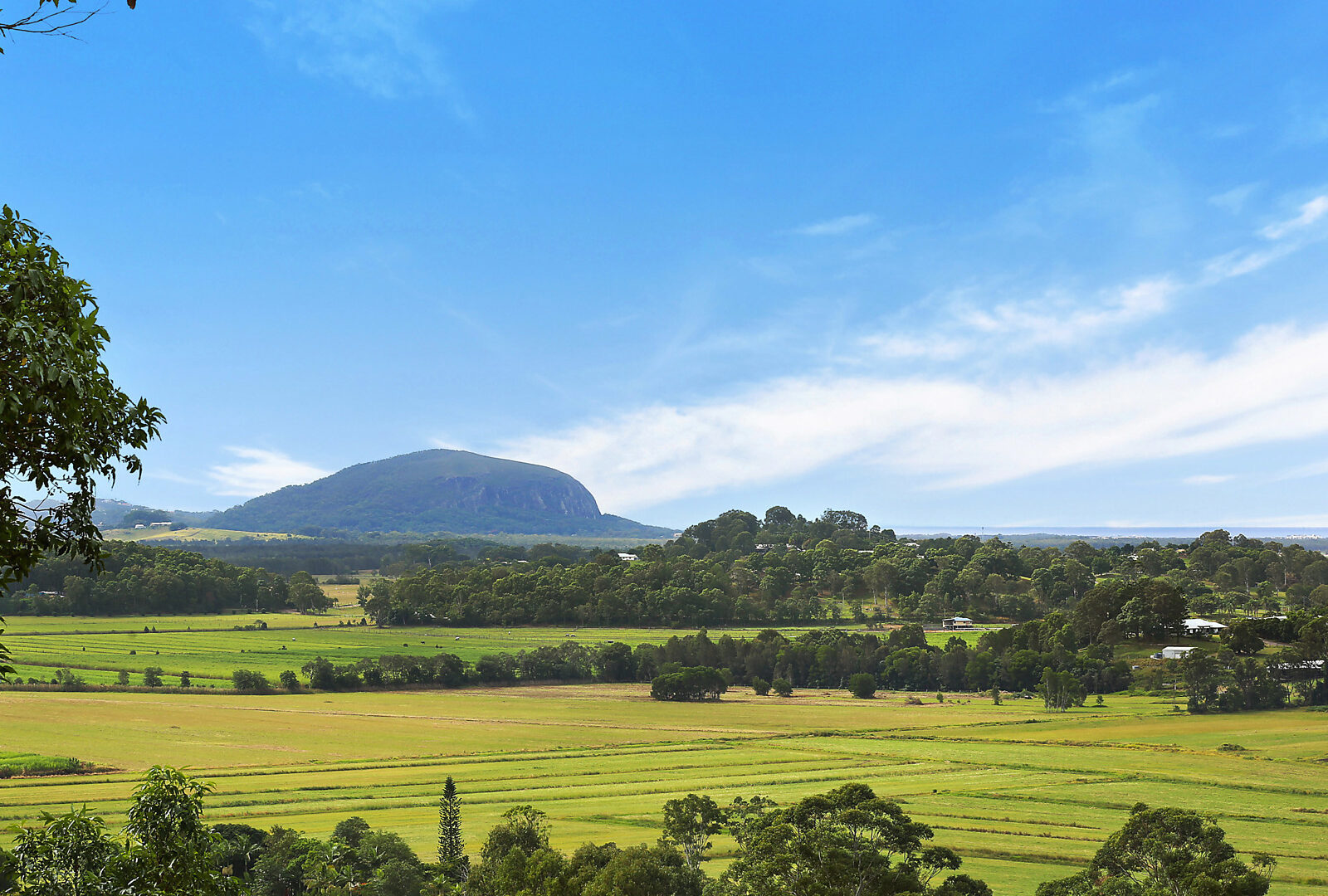 Sold - 33 Willis Road - New Property in Bli Bli - Real Estate by Trudi Fernandez