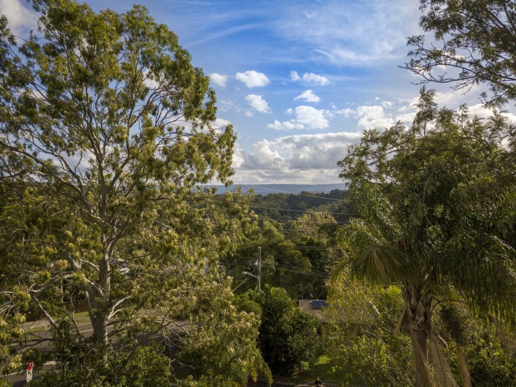 Sold - 39a Horseshoe Bend - New Property in Buderim - Real Estate by Trudi Fernandez