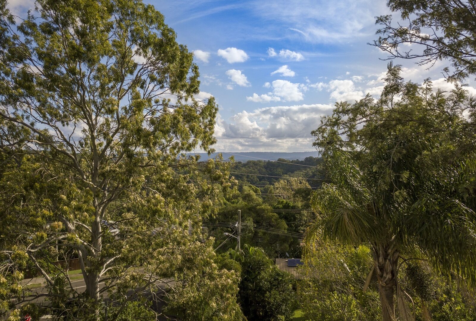 Sold - 39a Horseshoe Bend - New Property in Buderim - Real Estate by Trudi Fernandez