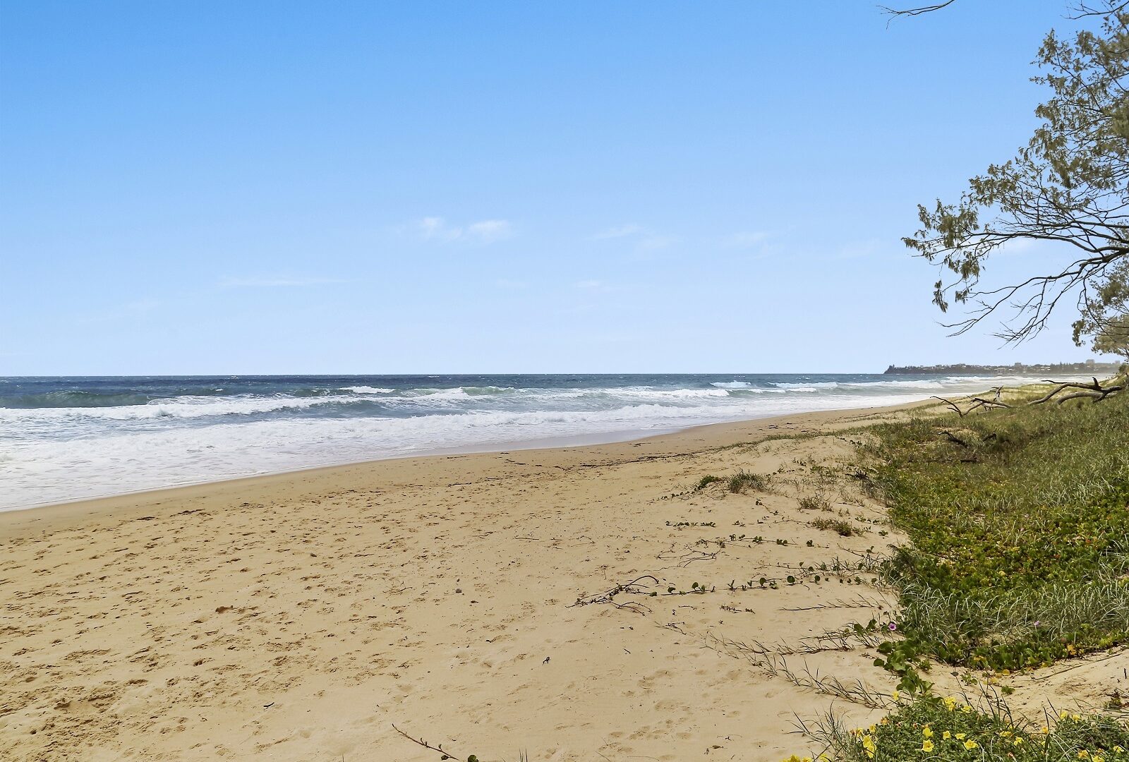 Sold - 22 Sutherland Street - New Property in Dicky Beach - Real Estate by Trudi Fernandez