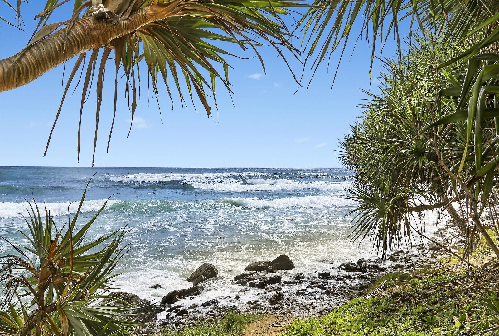 Sold - 22 Sutherland Street - New Property in Dicky Beach - Real Estate by Trudi Fernandez
