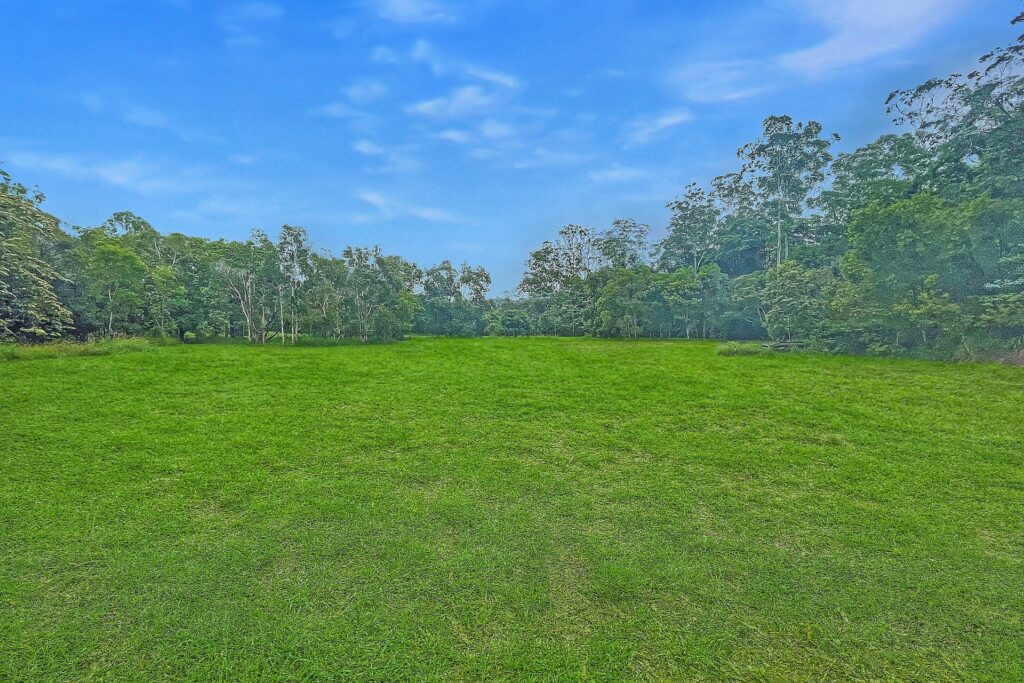 Sold - 86-92 Dales Road - New Property in Chevallum - Real Estate by Todd McKee