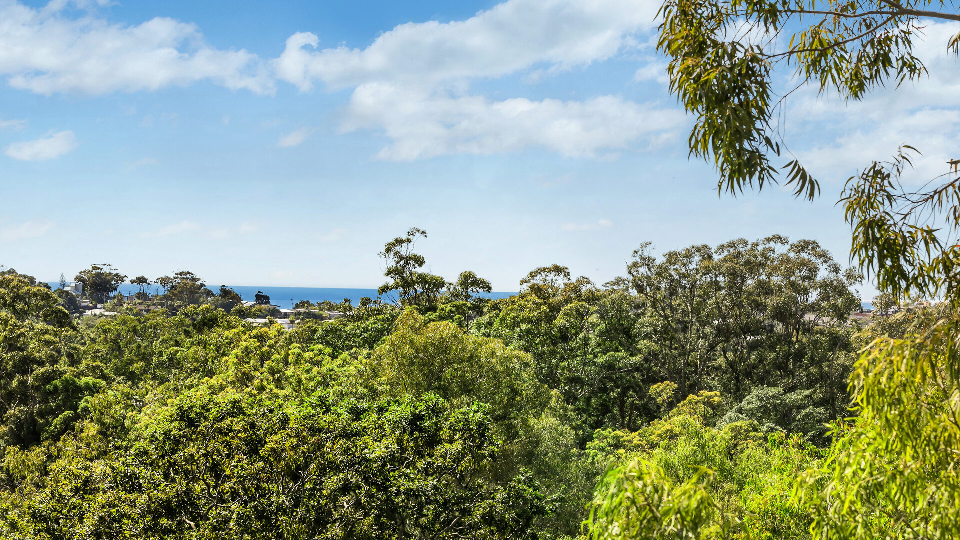 Sold - 2/33 Golf Links Road - New Property in Buderim - Real Estate by Vicki Stewart