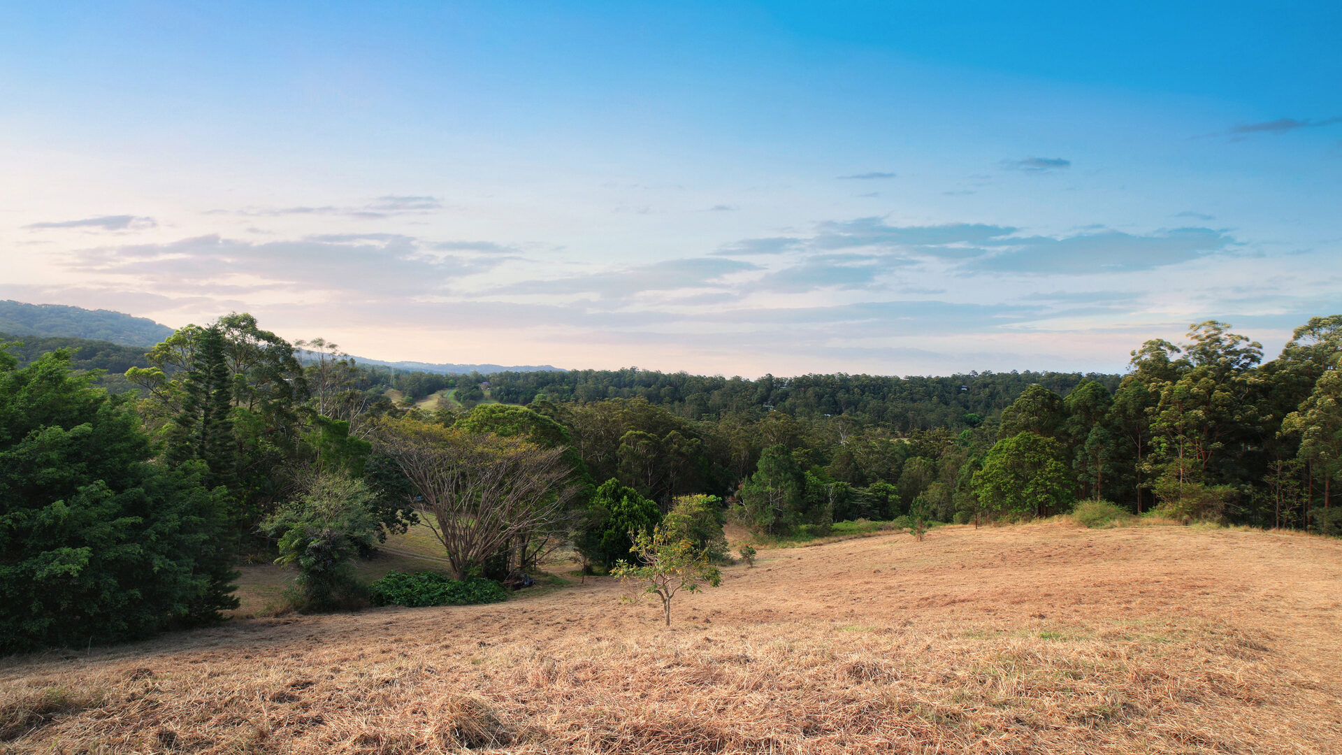 Sold - 230 Highlands Road - New Property in Eudlo - Real Estate by Shaun Hammill