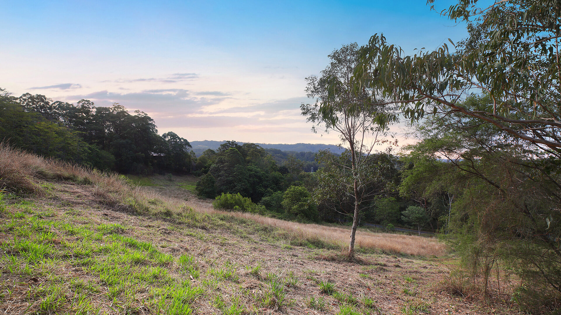 Sold - 230 Highlands Road - New Property in Eudlo - Real Estate by Shaun Hammill