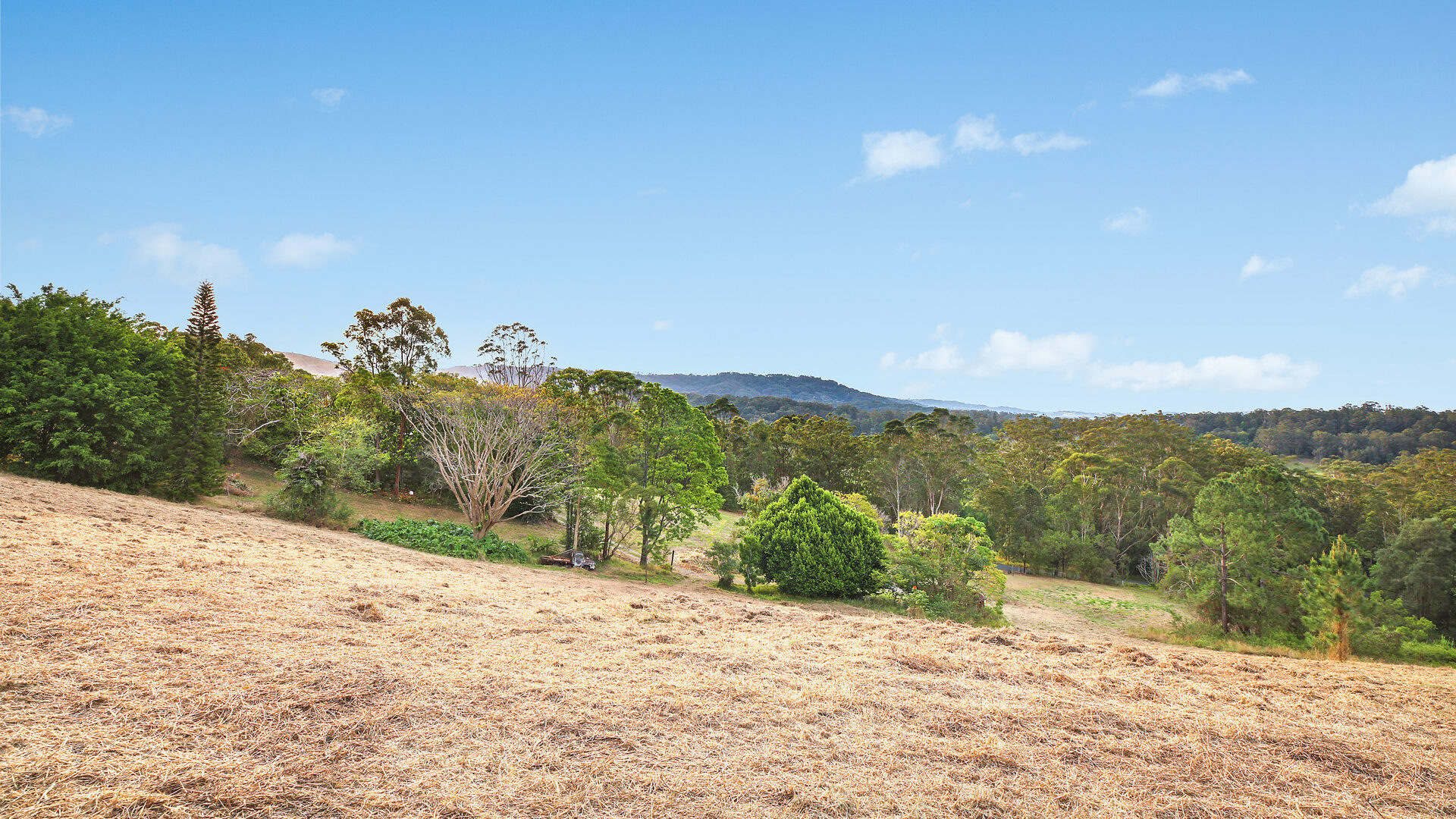 Sold - 230 Highlands Road - New Property in Eudlo - Real Estate by Shaun Hammill