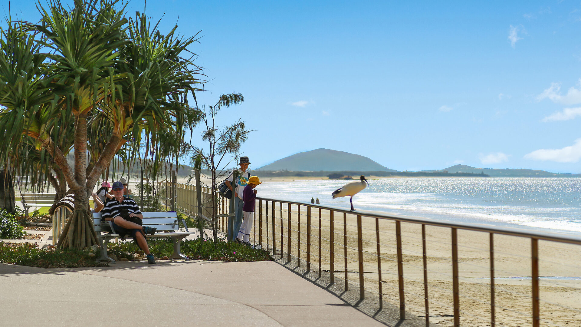 Sold - 3/77-79 Memorial Avenue - New Property in Maroochydore - Real Estate by Vicki Stewart