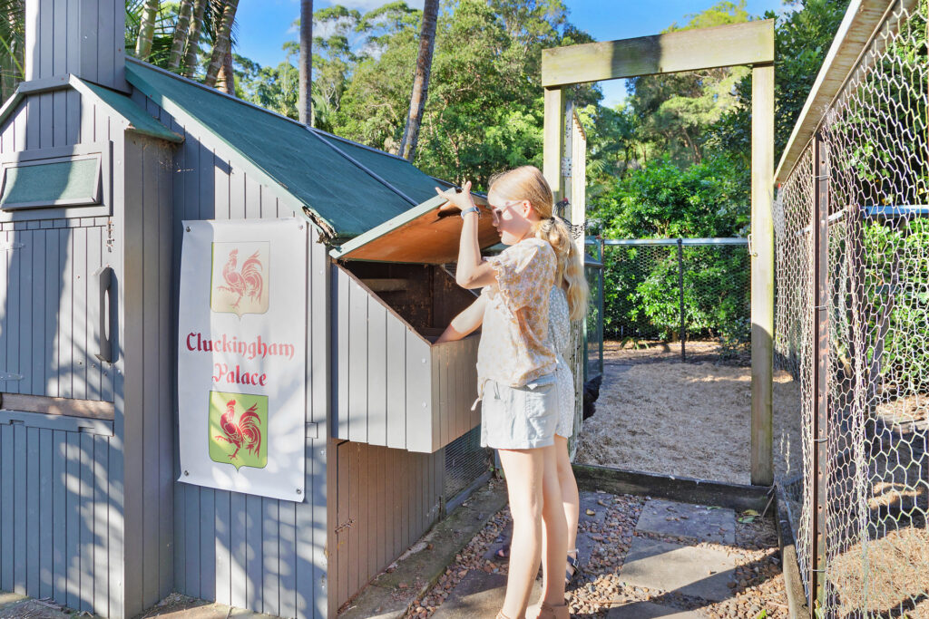 Sold - 31 Cardinal Court - New Property in Palmwoods - Real Estate by Vicki Stewart
