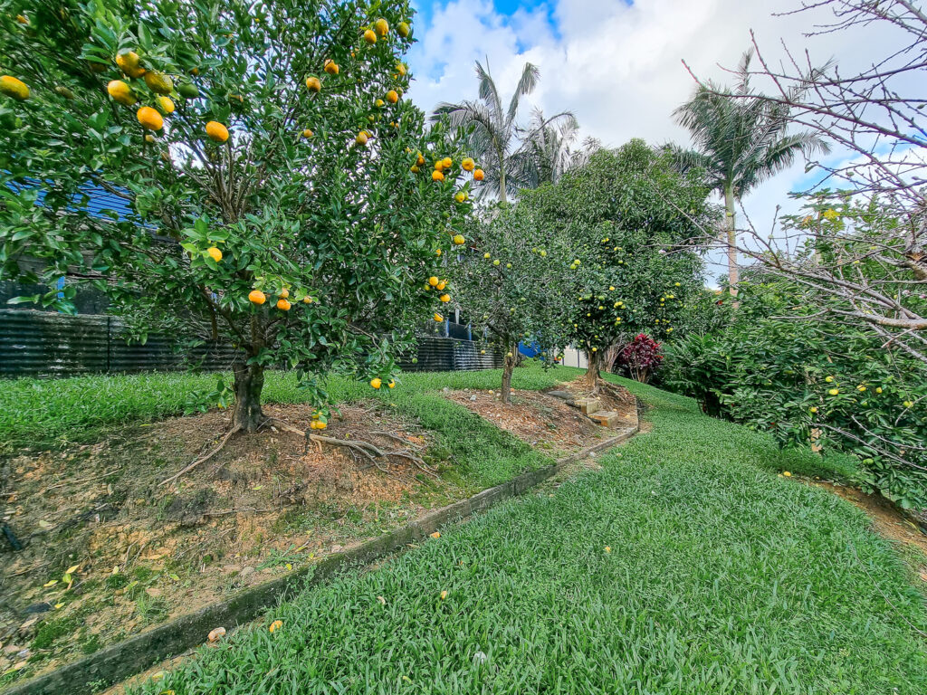 Sold - 410 Hunchy Road - New Property in Hunchy - Real Estate by Shaun Hammill