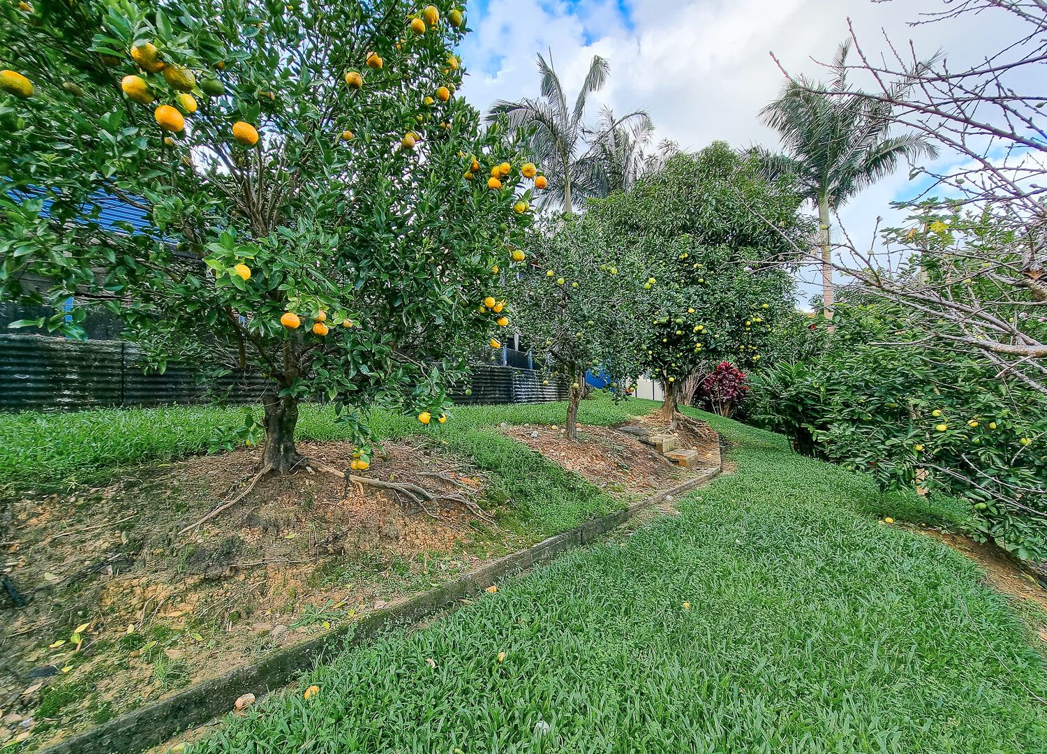 Sold - 410 Hunchy Road - New Property in Hunchy - Real Estate by Shaun Hammill