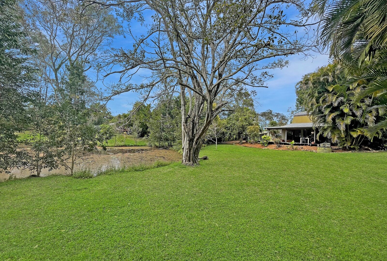 Sold - 104 Neill Road - New Property in Mooloolah Valley - Real Estate by Shaun Hammill