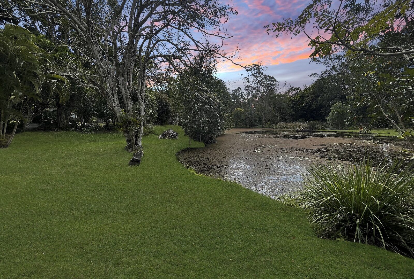 Sold - 104 Neill Road - New Property in Mooloolah Valley - Real Estate by Shaun Hammill