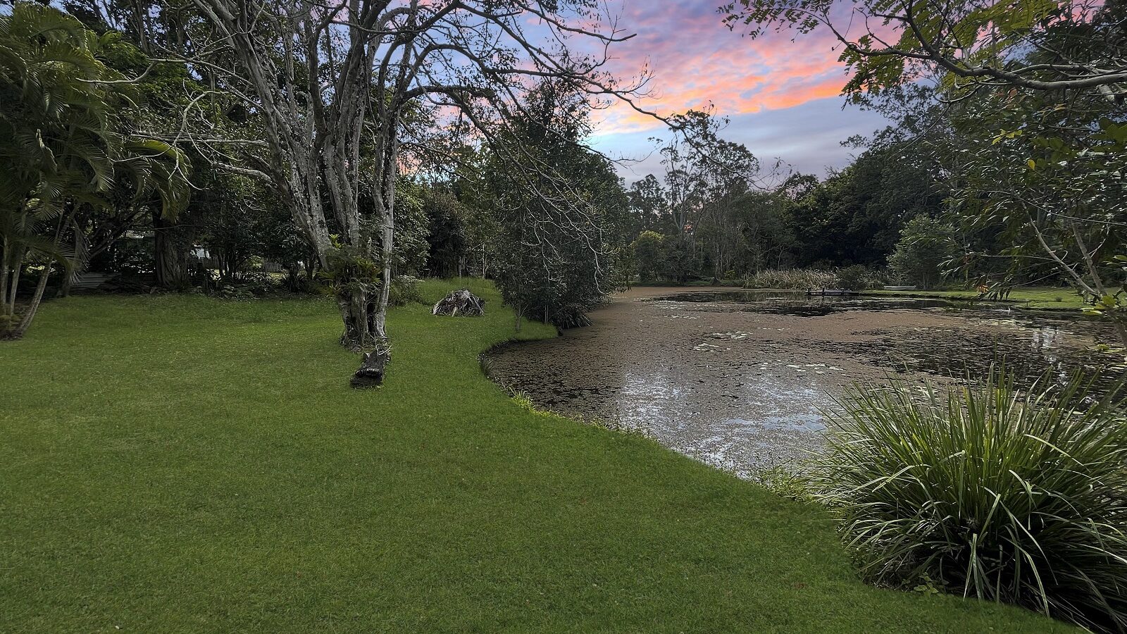 Sold - 104 Neill Road - New Property in Mooloolah Valley - Real Estate by Shaun Hammill
