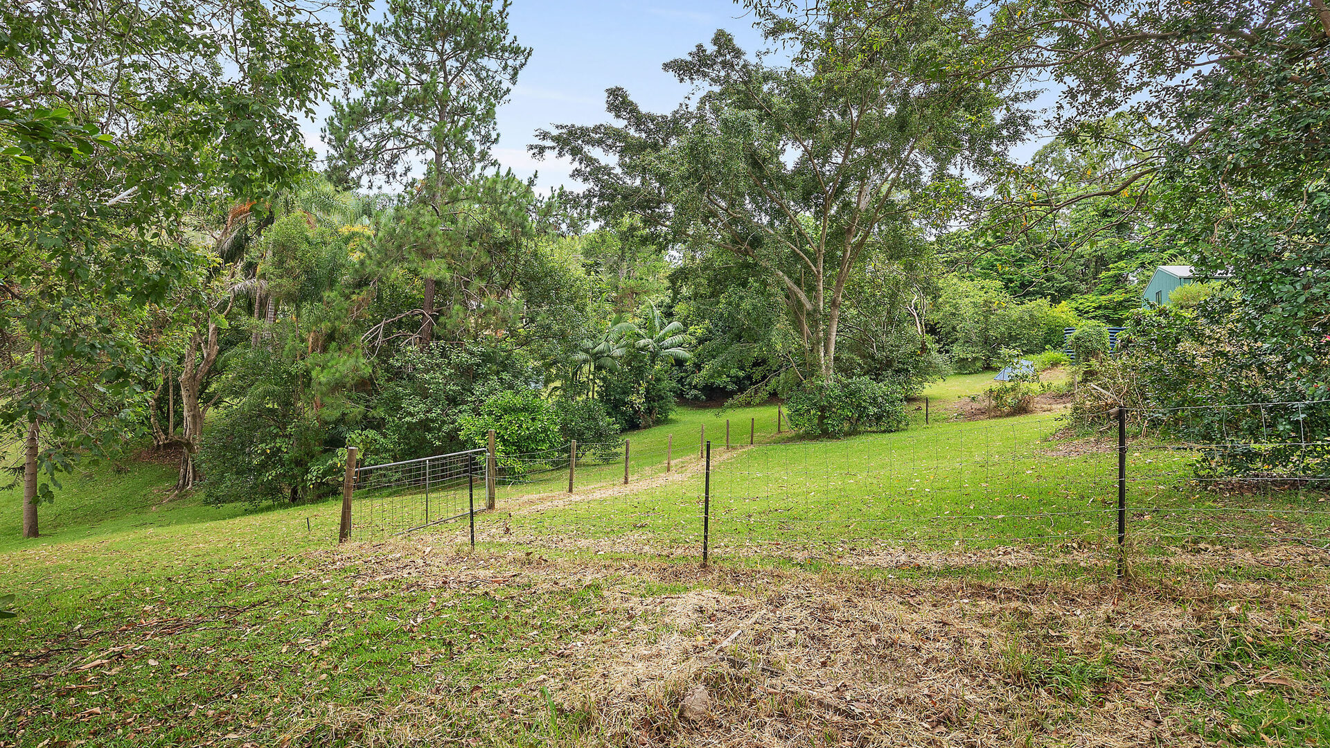 Sold - 751 Diddillibah Road - New Property in Diddillibah - Real Estate by McGrath Mooloolaba
