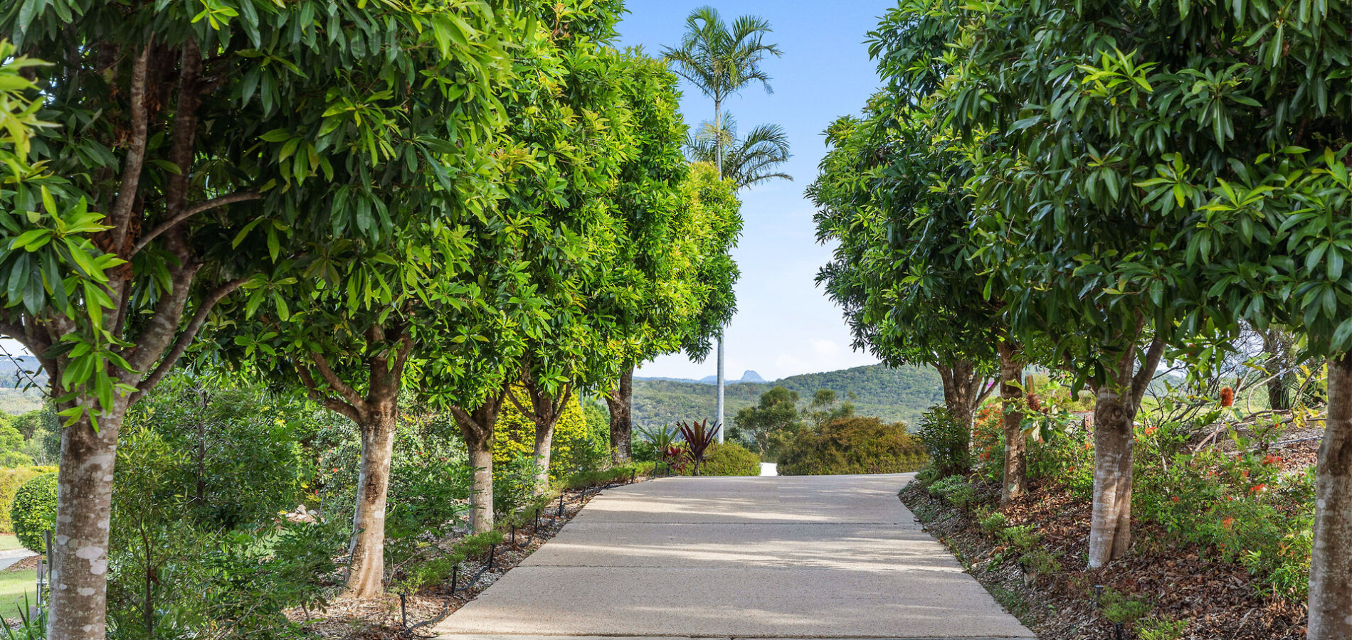 Sold - 161 Ocean Vista Drive - New Property in Maroochy River - Real Estate by McGrath Mooloolaba