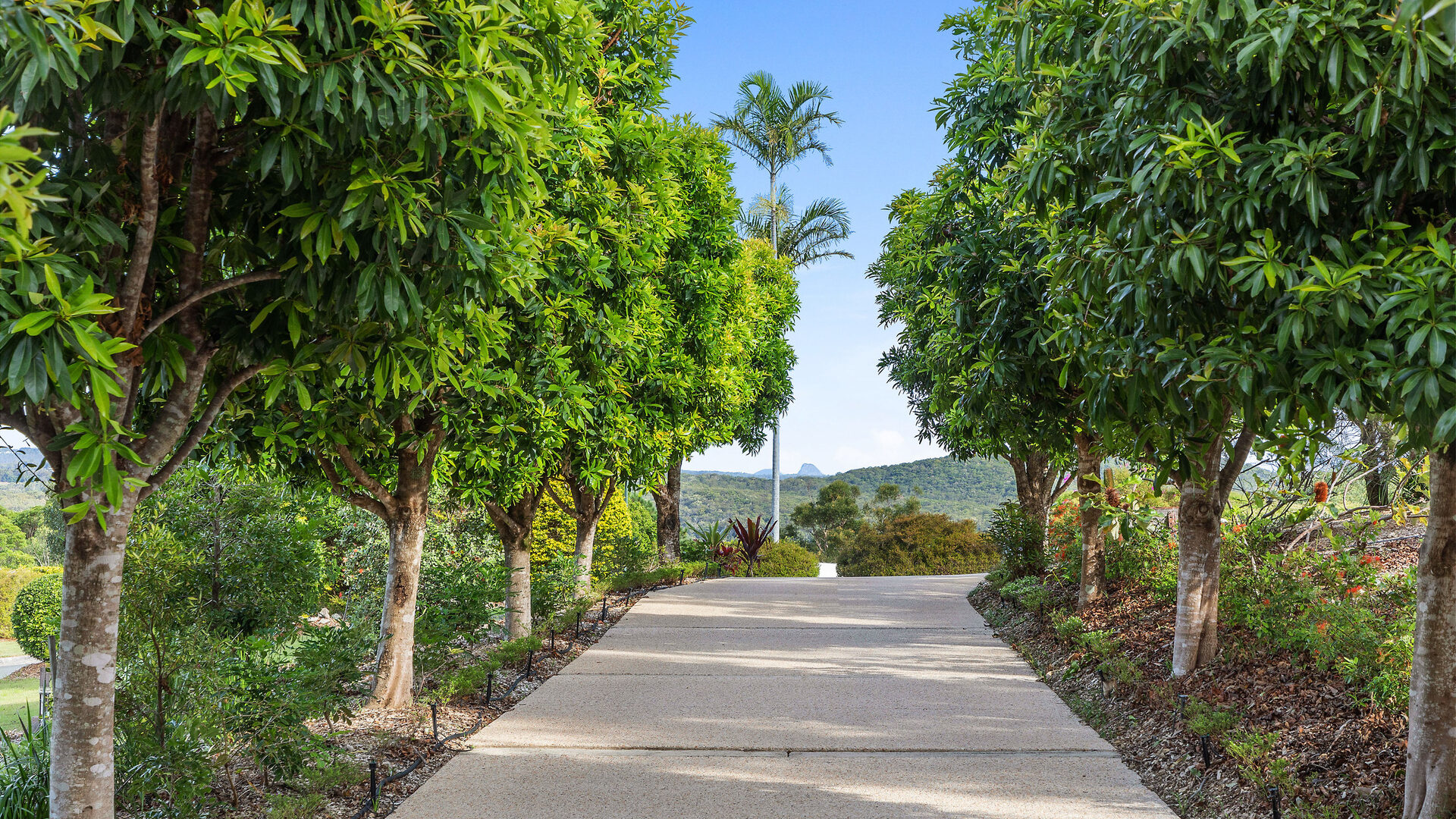 Sold - 161 Ocean Vista Drive - New Property in Maroochy River - Real Estate by McGrath Mooloolaba