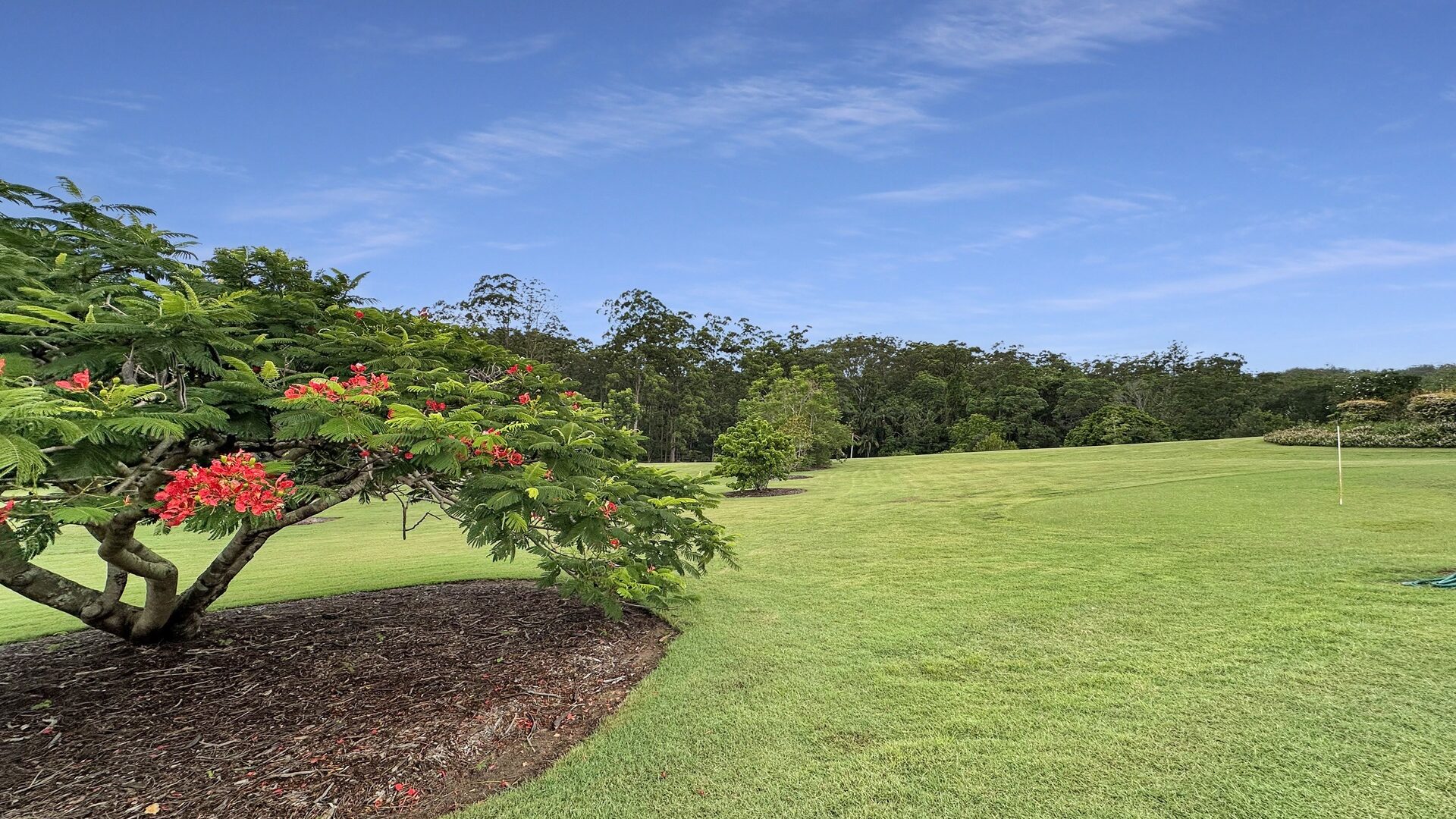 Sold - 28-52 Robinson Road - New Property in Eudlo - Real Estate by Damien Michael