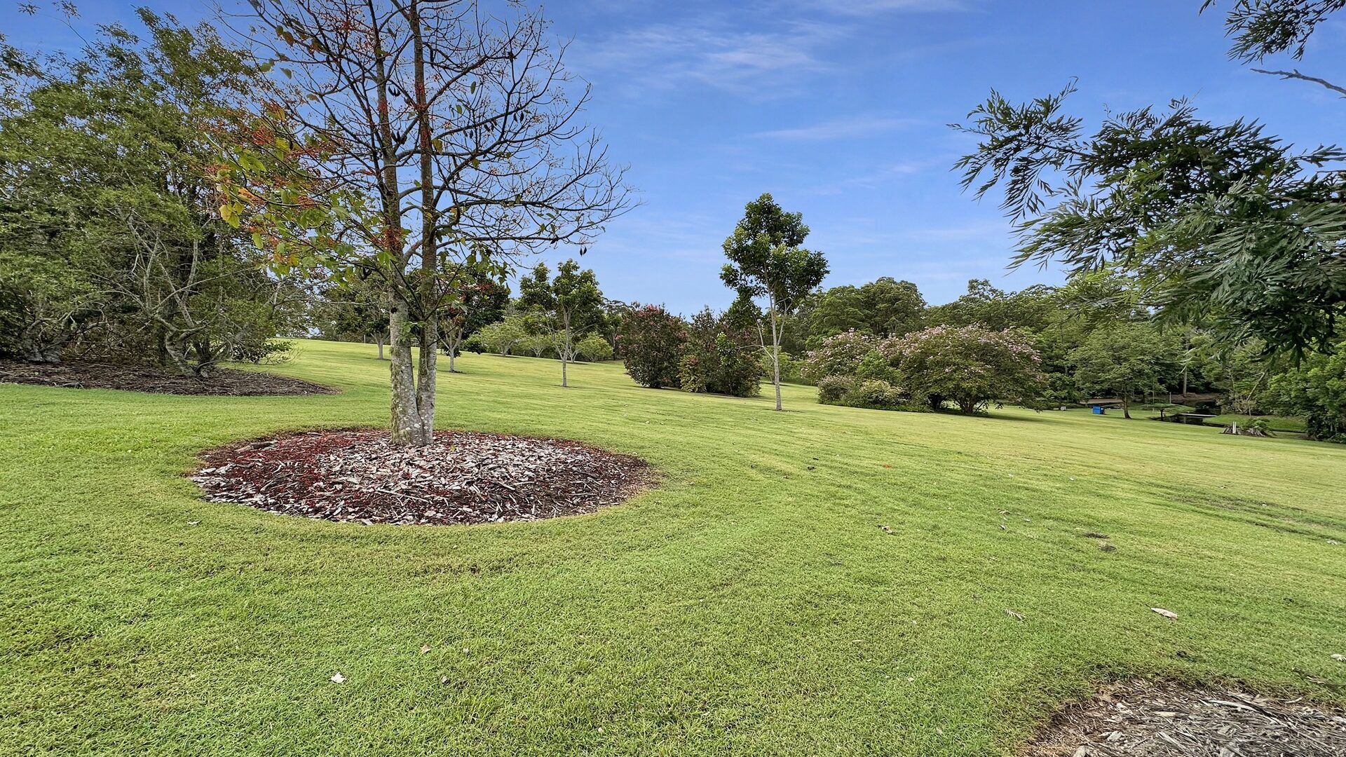 Sold - 28-52 Robinson Road - New Property in Eudlo - Real Estate by Damien Michael