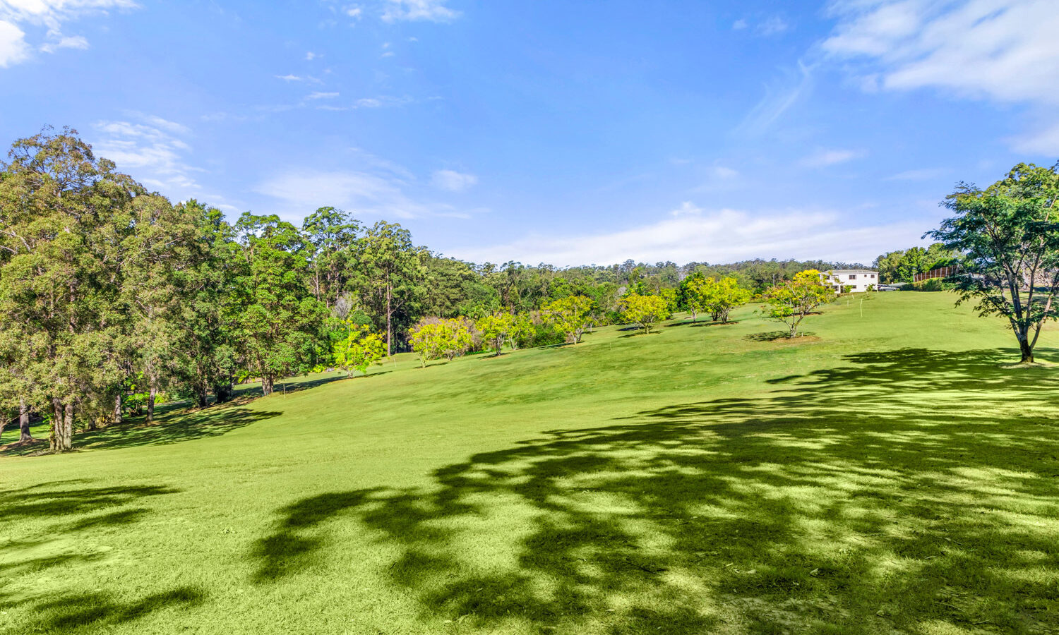 Sold - 28-52 Robinson Road - New Property in Eudlo - Real Estate by Damien Michael