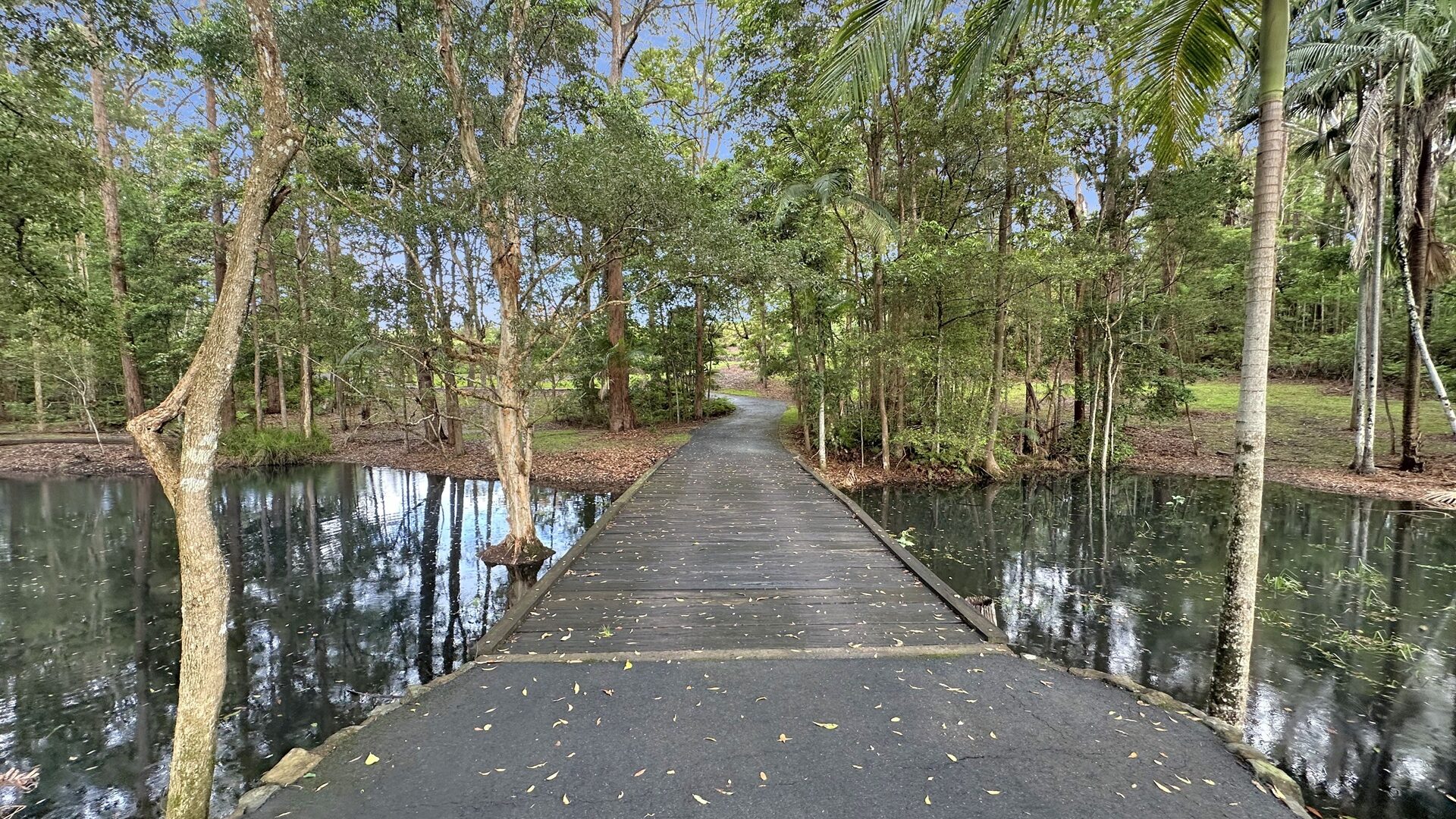 Sold - 28-52 Robinson Road - New Property in Eudlo - Real Estate by Damien Michael