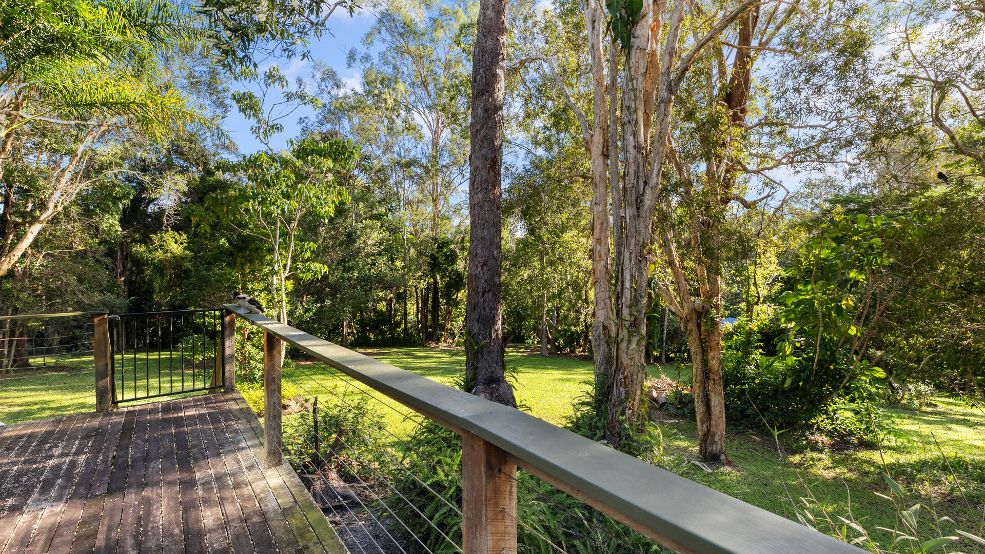 Sold - 19 Lara Drive - New Property in Buderim - Real Estate by Vicki Stewart