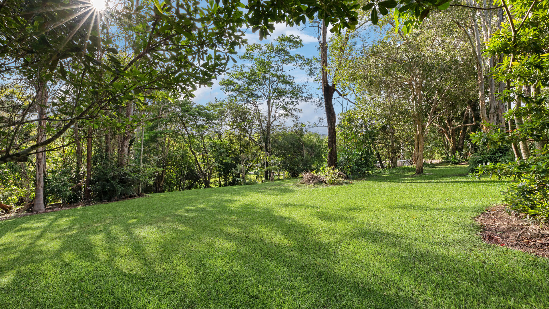 Sold - 19 Lara Drive - New Property in Buderim - Real Estate by Vicki Stewart