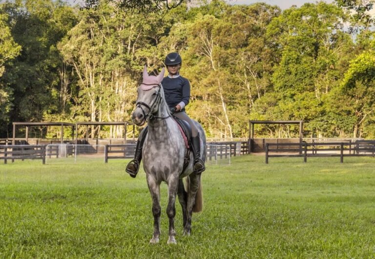 Sold - 6 Roms Court - New Property in Buderim - Real Estate by Chris Pace