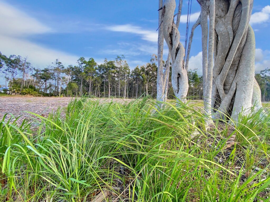 Sold - 14 Sanderling Drive - New Property in Boonooroo - Real Estate by 