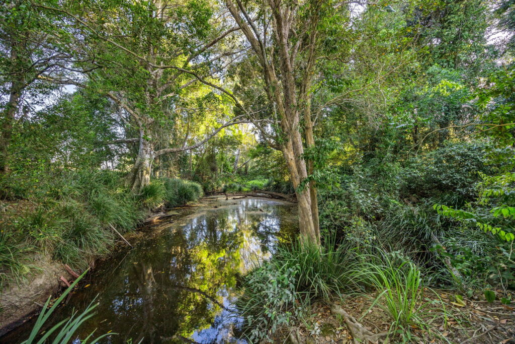 Sold - 255 Toolborough Road - New Property in Yandina Creek - Real Estate by 