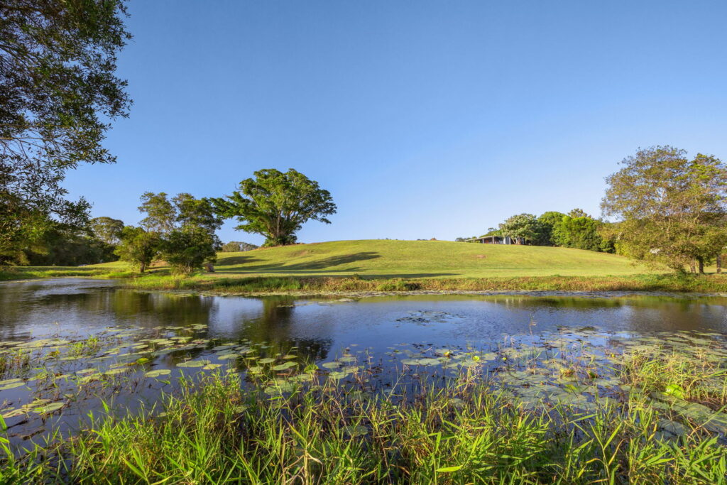Sold - 255 Toolborough Road - New Property in Yandina Creek - Real Estate by 
