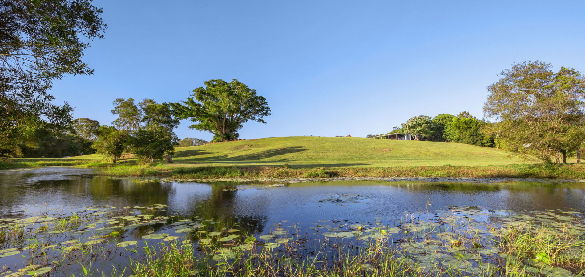 Sold - 255 Toolborough Road - New Property in Yandina Creek - Real Estate by