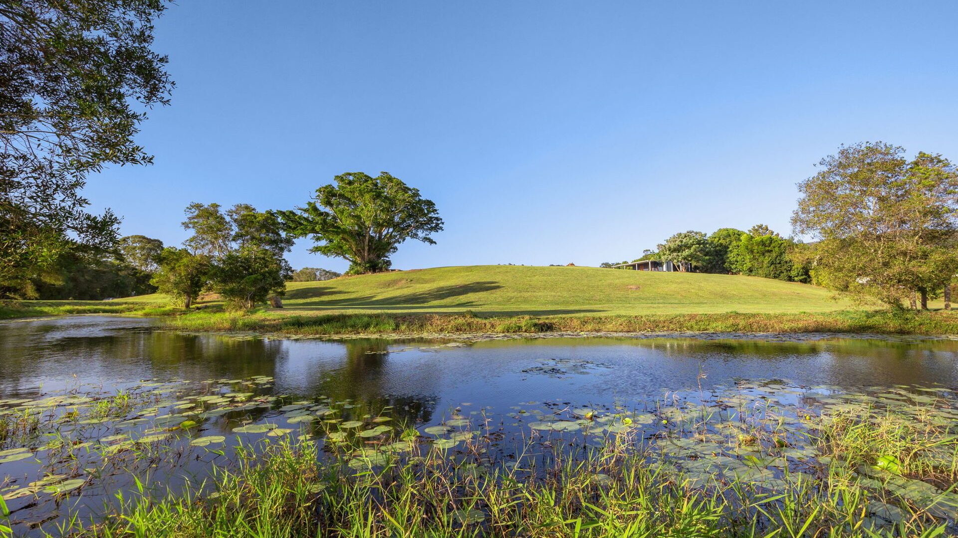 Sold - 255 Toolborough Road - New Property in Yandina Creek - Real Estate by 