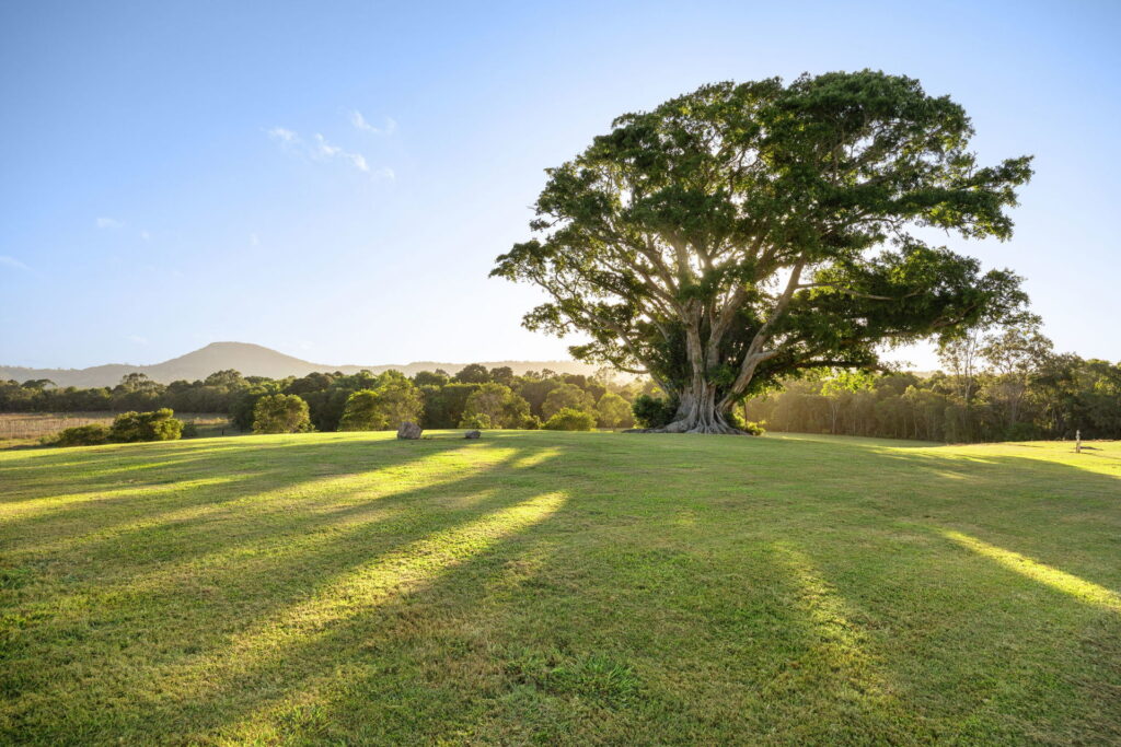 Sold - 255 Toolborough Road - New Property in Yandina Creek - Real Estate by 