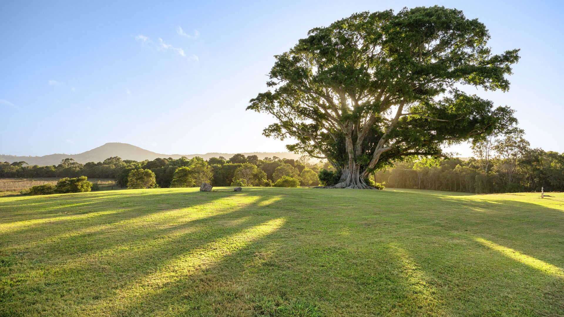 Sold - 255 Toolborough Road - New Property in Yandina Creek - Real Estate by 